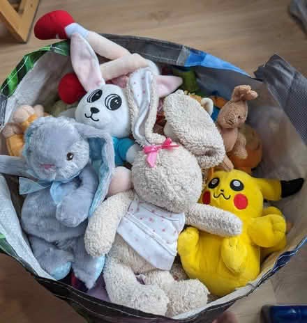Photo of free Bag full of soft toys/ teddies (Enfield) #1