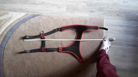 Photo of free Dog harness for 22kg+ (Royston SG8) #4