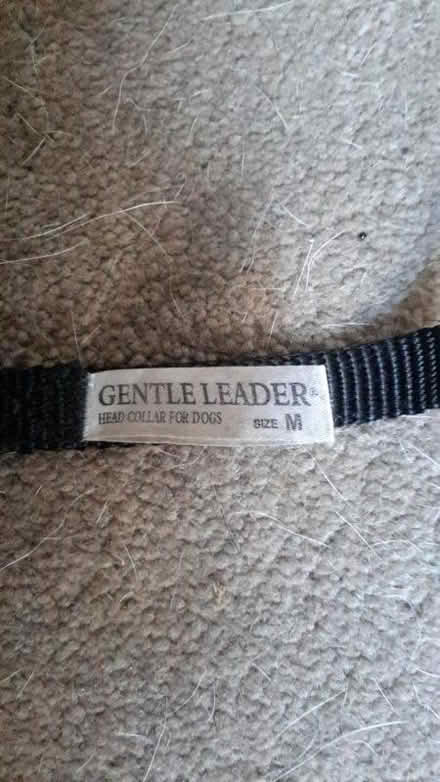 Photo of free Gentle leader dog halter (Royston SG8) #3