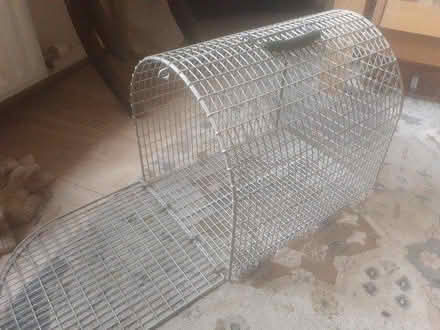 Photo of free Cat Carrier (East Hoathly BN8) #1