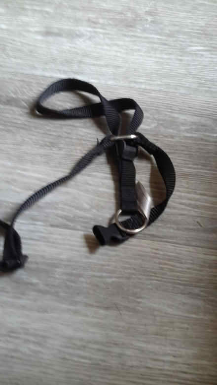Photo of free Gentle leader dog halter (Royston SG8) #2