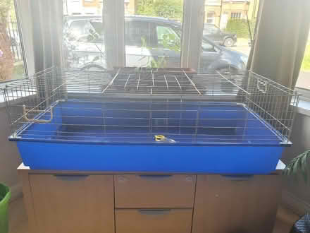 Photo of free Guinea pig cage (Isleworth TW7) #2