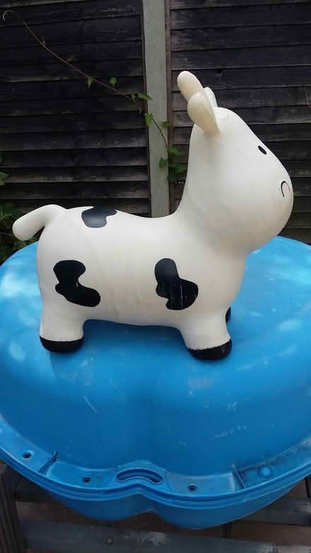 Photo of free Bouncy Cow (College Town GU47) #1