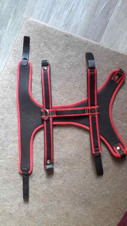Photo of free Dog harness for 22kg+ (Royston SG8) #1