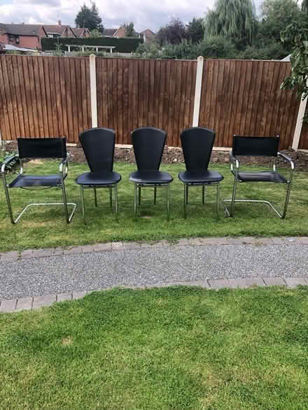Photo of free 5 x Chairs (Billericay, CM12) #2