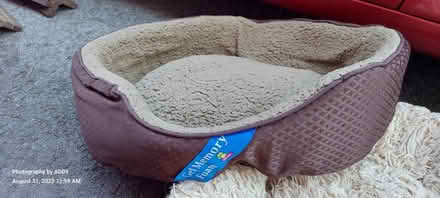 Photo of free 3 different dog beds (Wolfeboro, NH) #2