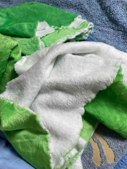 Photo of free Old towels and bedding, suitable for use by pets (Emerson Valley MK4) #2