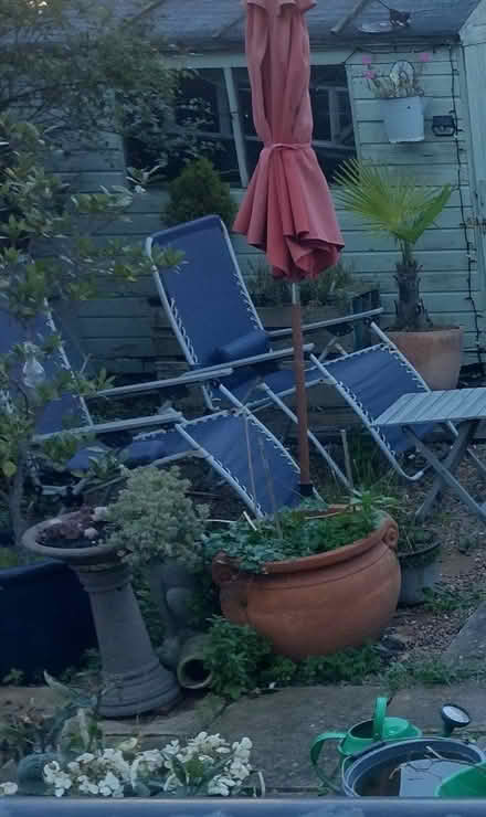 Photo of free Reclining Garden Chairs (CT11) #1
