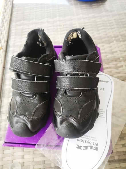 Photo of free Pediped Flex School Shoes EU31 UK12 (Hounslow TW3) #2