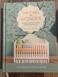 Photo of free Waiting In Wonder Book #1