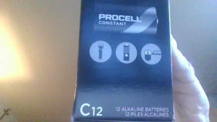Photo of free 12 C cell alkaline batteries (Warren Avenue, Vernon) #1