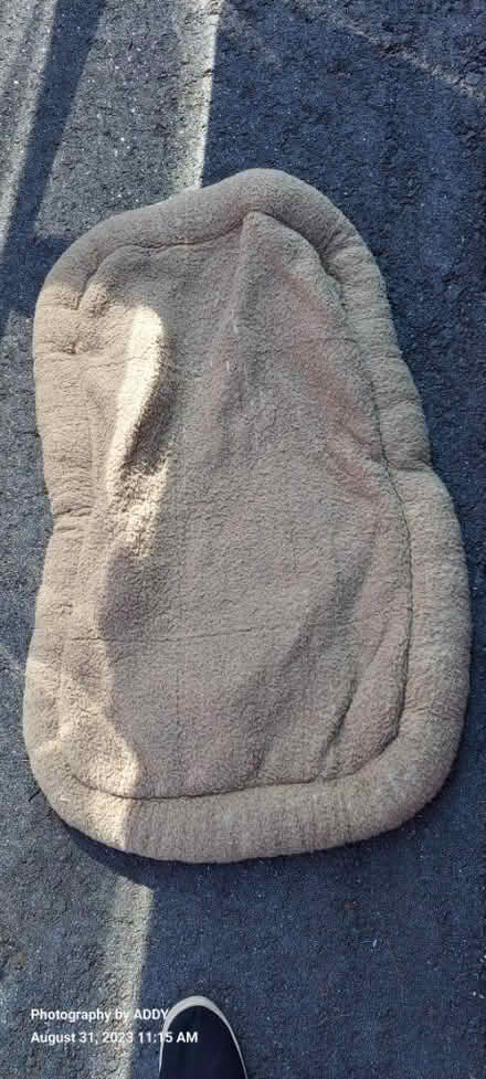 Photo of free 3 different dog beds (Wolfeboro, NH) #3