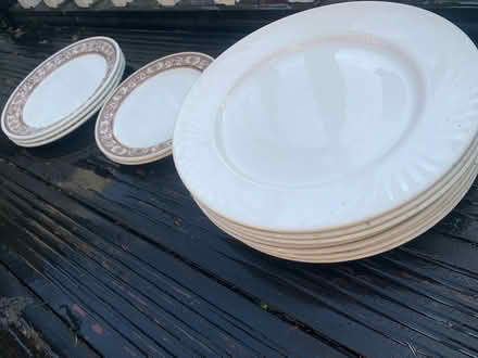 Photo of free Dinning plates (WD19) #2