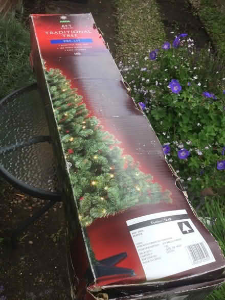 Photo of free Christmas Tree (Torrance G64) #2