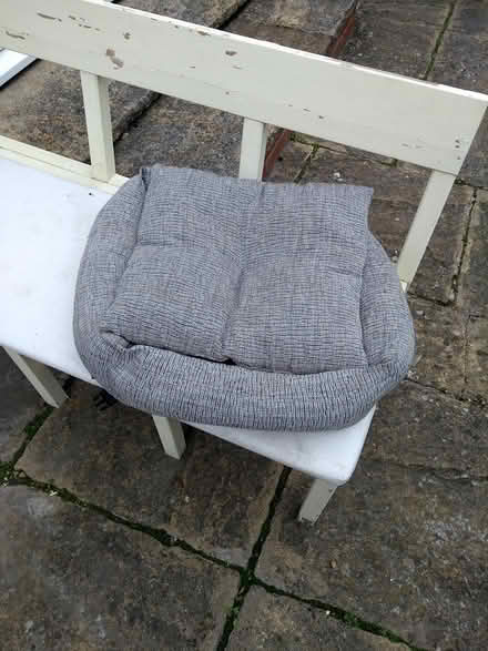 Photo of free Dog's Security Car Bed (Broomfield Chelmsford) #3