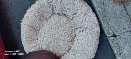 Photo of free 3 different dog beds (Wolfeboro, NH) #1