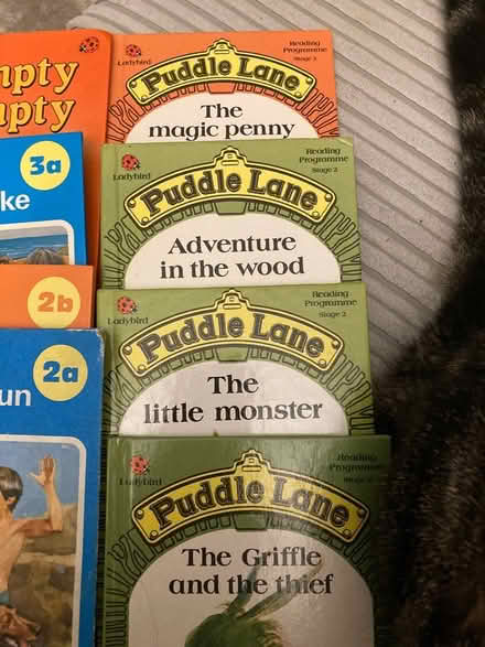 Photo of free Vintage children’s reading books (Poulton FY3) #3