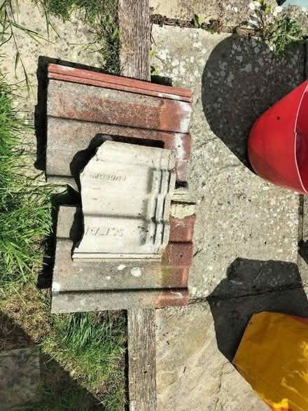 Photo of free Roof tiles (TN37 Hastings) #1