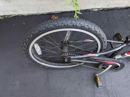 Photo of free Trek trail-a-bike (Eastchester, NY) #2
