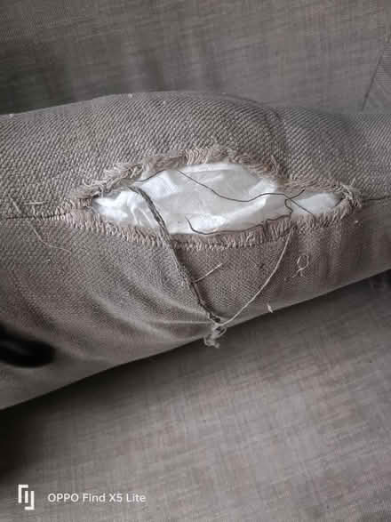 Photo of free Cuddle chair (BS8 clifton Wood) #3
