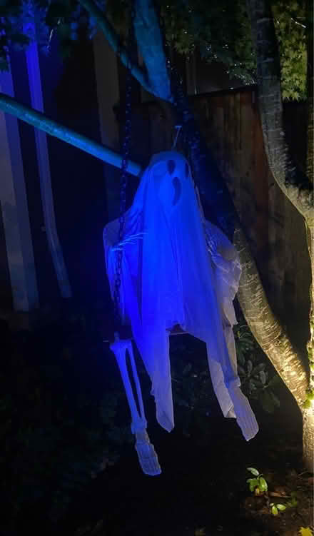 Photo of free Hanging Ghost on Swing (Tigard) #2