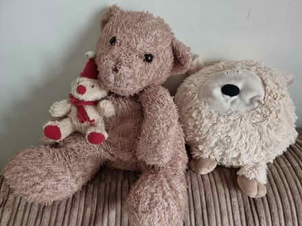 Photo of free 3 teddies (Luton, Wigmore, LU2) #1