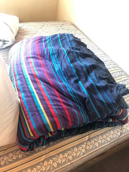 Photo of free pick up Five Duvets and single bed base (Pilton EH4) #2