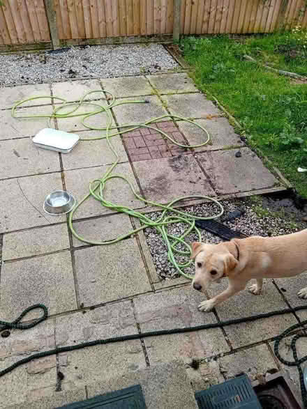 Photo of free Hose pipe (Brinscall PR6) #1
