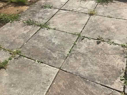 Photo of free Paving slabs (Fair Oak SO50) #2