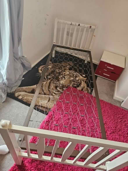 Photo of free 2x single bed frames (Littlemore OX4) #1