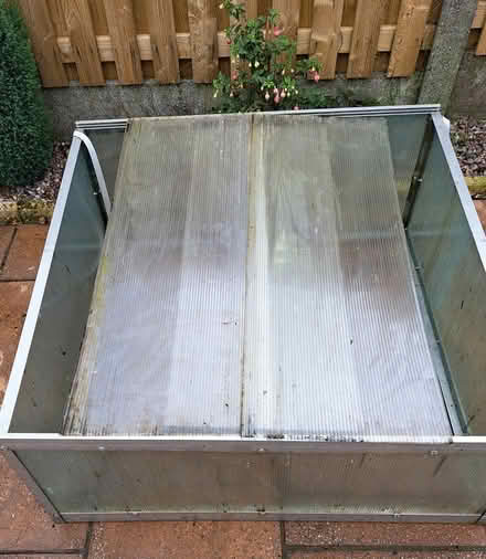 Photo of free Garden ground greenhouse (Bradford BD13) #2