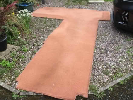 Photo of free Terracotta wool carpet (Presteigne LD8) #1