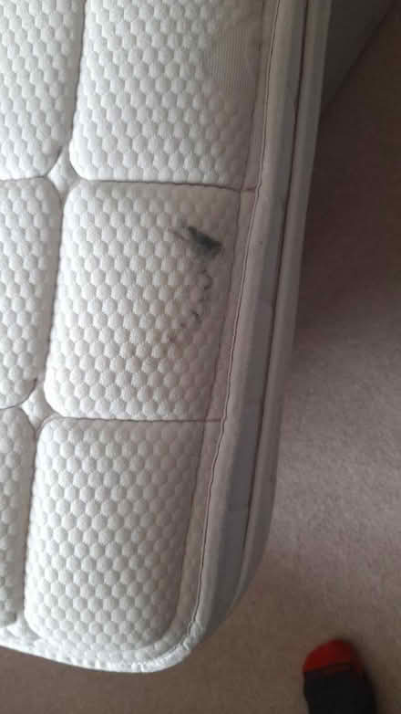 Photo of free Sealy King size mattress (Chellaston, Derby) #2