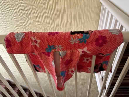 Photo of free Disney's Moana child size poncho towel (Round Hill BN2) #2