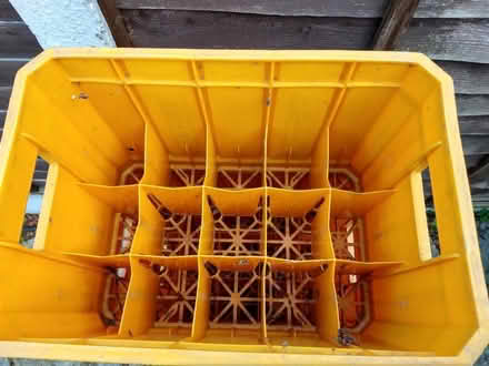 Photo of free Peroni Beer Crates (Rayleigh SS6, Eastwood side) #2