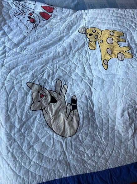 Photo of free Two kids twin quilts (Near Randall and Algonquin Rds) #1