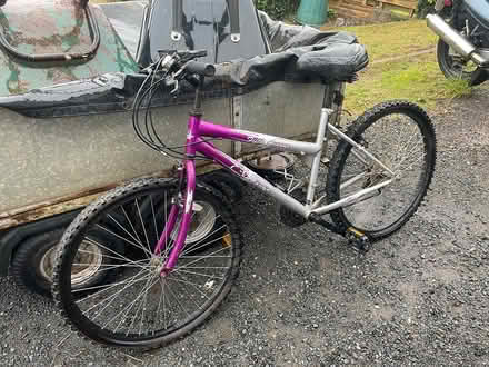 Photo of free Ladies/girls push bike (paignton) #1