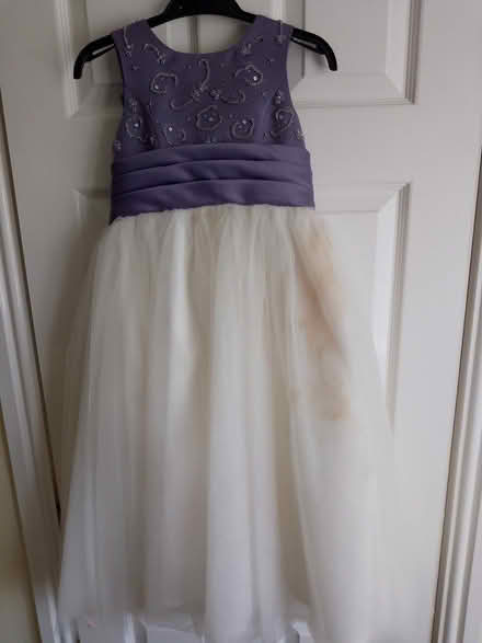 Photo of free Small princess costume/bridesmaid dress (West Haddon NN6) #2
