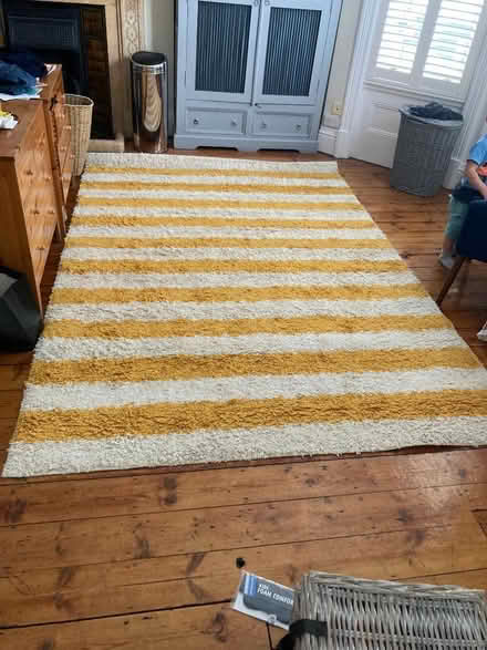 Photo of free Very large, deep-pile rug (Shepherds Bush W14) #1