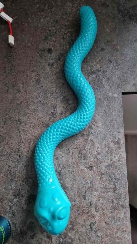 Photo of free Dog cooling toy (Luton, Wigmore, LU2) #1