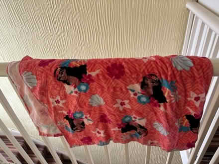 Photo of free Disney's Moana child size poncho towel (Round Hill BN2) #1