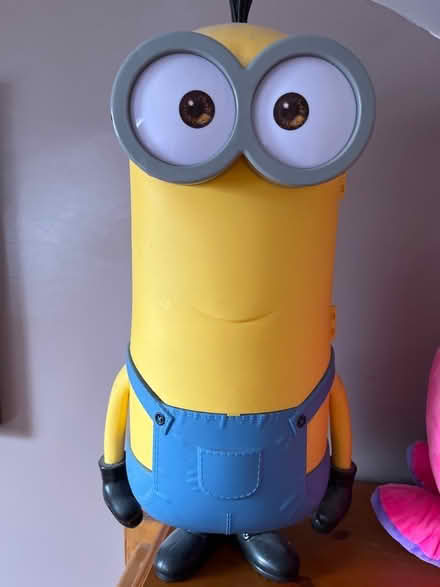 Photo of free Minions storage (Wilmorton DE24) #2