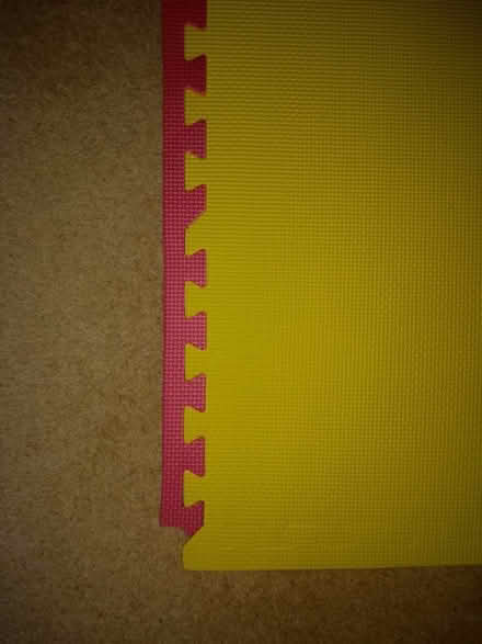 Photo of free Interlocking EVA foam tiles x 2 with some edging pieces (Knaresborough HG5) #2