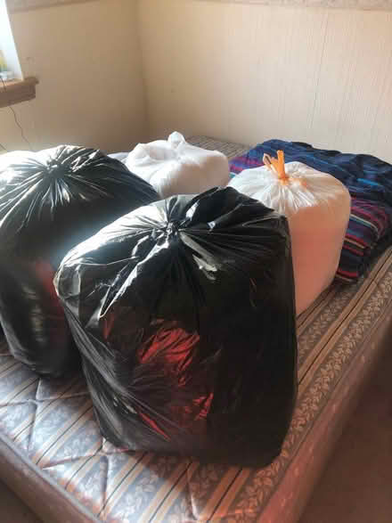 Photo of free pick up Five Duvets and single bed base (Pilton EH4) #1