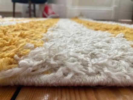 Photo of free Very large, deep-pile rug (Shepherds Bush W14) #2