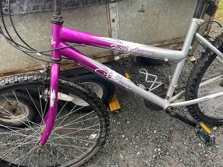 Photo of free Ladies/girls push bike (paignton) #2