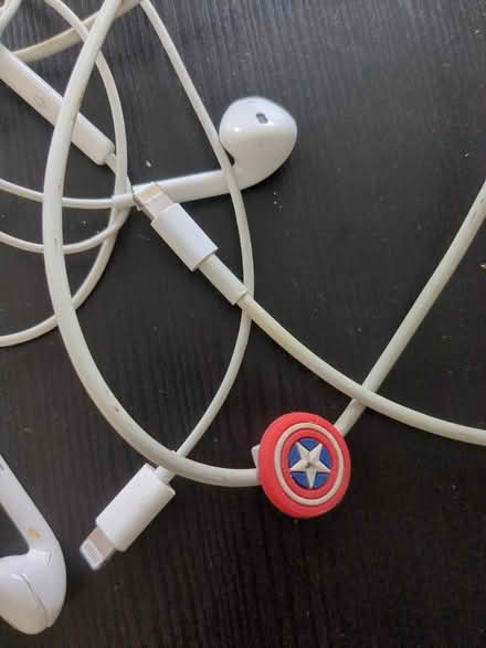 Photo of free Old iPhone charger and headphones (N4) #2