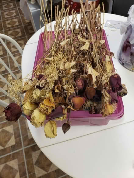 Photo of free Large bundle of dried roses (Downtown Bartlett) #2