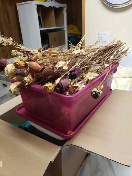 Photo of free Large bundle of dried roses (Downtown Bartlett) #1