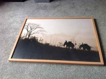 Photo of free Large framed elephant picture (New Duston) #1